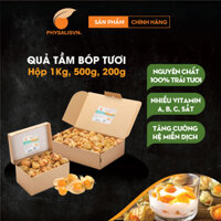 Tầm bóp Nam Mỹ decor bánh kem hộp 1kg (130-140 trái) - Golden Berry