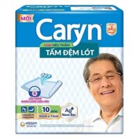 Tấm đệm lót Caryn 10 miếng