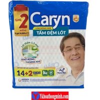 Tấm đệm lót Caryn 14 miếng lớn 60x72cm - Y Khoa Thông Minh