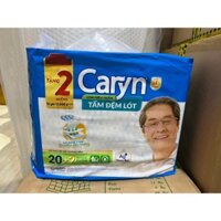Tấm Đệm Lót Caryn 20 Miếng Loại Siêu Thấm Kích Thước 42 x72 Cm - Tấm Lót Giường Người Bệnh