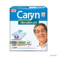 Tấm Đệm Lót Caryn L10 Miếng 42cm x 72cm