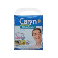 Tấm đệm lót Caryn mỏng nhẹ 60 x 70cm 14 miếng