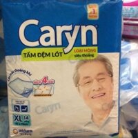 Tấm đệm lót Caryn XL ( 14 miếng loại mỏng )