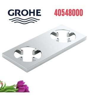 Tấm Giữ Kỹ Thuật Số Grohe 40548000