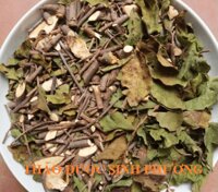 Tầm Gửi Cây Ngái