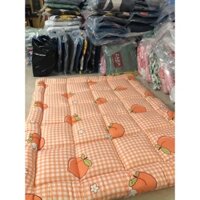 Tấm làm mềm đệm Topper,kích thước 2mx2m2 nệm dày 6-8cm-được chọn nhiều mẫu