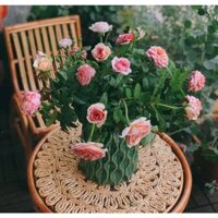 Tấm Lót Bình Hoa, Lọ Hoa, Lót Đĩa, Phụ Kiện Chụp Ảnh.Chất Liệu Vỏ Ngô Tự Nhiên - Hàng VNXK [ FreeShip-Giảm 10k Đơn 0đ ].