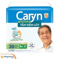 TẤM LÓT CARYN 20 (42*72CM)