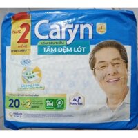 Tấm lót Caryn 20 miếng thanh lý