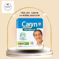 Tấm lót Caryn mỏng nhẹ 14 miếng 60 x70cm,lót caryn chống trào lưng cho người già mẹ sau sinh