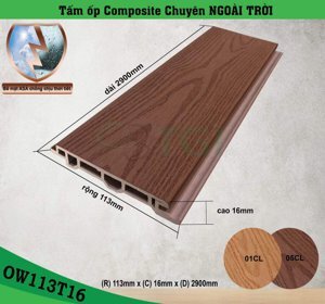 Tấm ốp tường ngoài trời OW113T16
