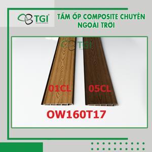 Tấm ốp tường ngoài trời OW160T17