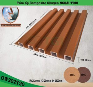 Tấm ốp tường ngoài trời OW202T20