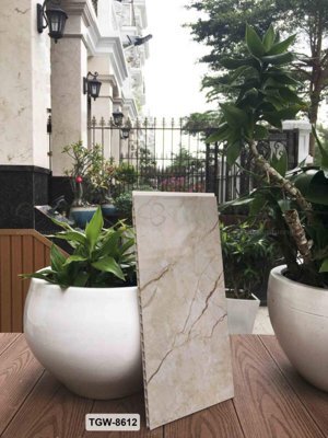 Tấm ốp tường vân gỗ TGW-8612