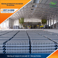 Tấm Pallet Nhựa PP