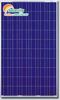 TẤM PIN NĂNG LƯỢNG MẶT TRỜI POLY 300W