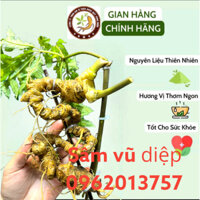 Tam thất hoang, sâm ngọc linh, sâm vũ diệp, thiết trúc nhân sâm 👉 sâm lai châu