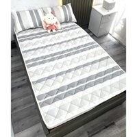 Tấm trải đệm đa năng TAKARA, Tấm bảo vệ Nệm, thảm trải giường mỏng 3cm chất liệu vải cotton mịn mát đầy đủ size