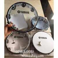 Tambourine - Trống lắc tay