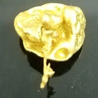 Tân Cương · Thiên thạch vàng Alta 1
Tay cầm mặt dây chuyền bằng đá thô (Bộ sưu tập tay của người chăn cừu)
Vàng mạnh mẽ 3.22 HBFH