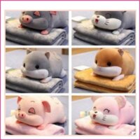 (Tặng 1 móc dán chịu lực)Bộ chăn gối văn phòng chuột Hamster, Heo xinh. Gấu bông đẹp