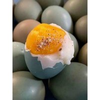 [TẶNG 1 trứng] 10 trứng CHIM TRĨ tốt cho mẹ bầu và trẻ nhỏ