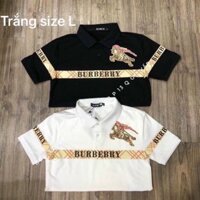 (Tặng 1 vòng phong thủy) Áo thun nam Ngắn tay cổ tròn form rộng tay ngắn in chữ hàn quốc - AC31