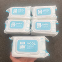 (Tặng 1g) Combo 5 Gói Khăn ướt Hàn Quốc Mool 100 tờ không mùi an toàn cho bé