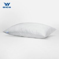 [Tặng] 2 Gối Nằm Hơi Việt Hàn - Thoáng Khí - Nệm Việt Hàn