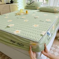 [TẶNG 2 VỎ GỐI] Chiếu diều hoà cao su non bọc chun 5D Nhaxinh668 mẫu 2024