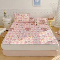 (Tặng 2 vỏ gối ) Ga và gối điều hòa cho bé