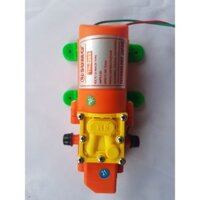 TẶNG ADAPTER TỔ ONG - MÁY BƠM MINI 12V 4,6A - MÁY BƠM SUMO 12V 60W CÔNG SUẤT 7L/PHÚT