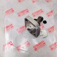 Tăng cam R15, TFX, MT15