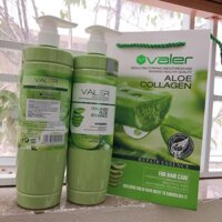 [TẶNG DẦU GỘI KHÔ ISSY 109K]  Bộ Dầu Gội Xả Lô Hội Tái Sinh Valer Collagen Aloe Essence Chính Hãng 800ML*2
