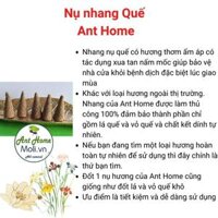 Tặng đĩa sòNụ Palo Santo thủ công - Túi 10 nụ, Gỗ trắc xanh nhập khẩu, giúp thanh lọc không gian - 1 nụ quế