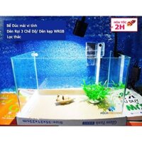 {TẶNG ĐÔI CÁ} Combo Bể Cá Kính Đúc 35cm Mini Kèm Đèn Lọc, Dài 35cm Rộng 21cm Cao 23cm