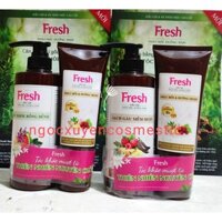 (Tặng kèm 1 dầu xả thảo mộc 180g ) DẦU GỘI THẢO MỘC DƯỠNG SINH FRESH 480G