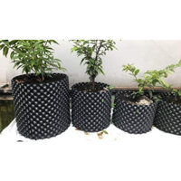 [TẶNG KÈM BỘ ỐC VÍT] Bầu ươm cây thông minh V6 cao 80cm cuộn dài 50 mét ươm vườn hoa cây cảnh, cây ăn quả.
