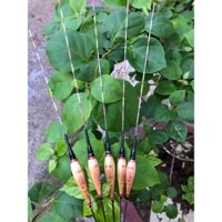 [tặng Kèm Pin] Phao Cỏ Điện Câu Đài Ban Đêm Cao Cấp Chất Liệu Cỏ Lau Sậy Tự Nhiên 100% Mã L