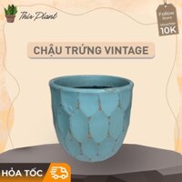 [TẶNG KÈM TIỂU CẢNH MINI] Chậu đất nung Vintage trồng cây để bàn - Chất liệu đất nung tốt cho cây - Mẫu ngẫu nhiên