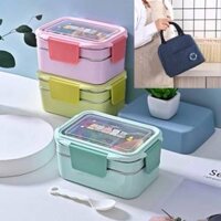 (TẶNG KÈM TÚI VÀ CHỌN MÀU) Hộp Cơm Giữ Nhiệt Văn Phòng Chất Liệu Inox 304 Chống Gỉ Vỏ Nhựa PP Cao Cấp An Toàn