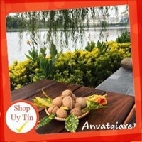 [TẶNG KÌM TÁCH VỎ] 1kg Hạt Óc Chó Nhập Khẩu Mỹ 100%
