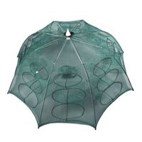 Tăng lồng câu cá ròng ô chỉ vào và không để lại lưới tôm hùm lem