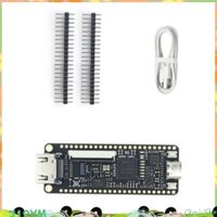 Tang Nano 9K FPGA Ban Phát Triển GW1NR-9 RISC-V Kit youyilu