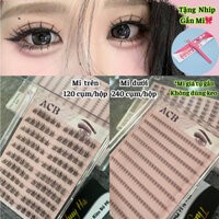(Tặng Nhíp) Mi Anime tự gắn không dùng keo - (Mi trên120 cụm/hộp-Mi dưới 240 cụm/hộp)- Thúy Hà
