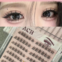 (Tặng Nhíp) Mi Anime tự gắn không dùng keo (Mi trên120 cụm/hộp-Mi dưới 240 cụm/hộp)- Thúy Hà