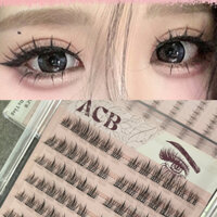 (Tặng Nhíp) Mi Anime tự gắn không dùng keo __ (Mi trên120 cụm/hộp-Mi dưới 240 cụm/hộp)- Thúy Hà