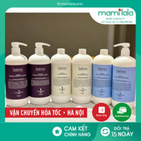 [Tặng set mini] Cặp Dầu Gội Xả Batious Phục Hồi Hư Tổn Đa Tầng, Tái Tạo Nang Tóc, Ngăn Gàu, Kiềm Dầu