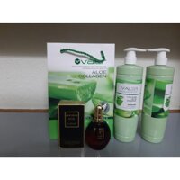 [Tặng Tinh Dầu]CẶP DẦU GỘI XẢ LÔ HỘI NHA ĐAM LÔ HỘI TÁI SINH VALER COLLAGEN ALOE ESSENCE 800mlx2