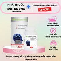 Tăng Tuần Hoàn Não Green Living Brain Nature Gift (C/60V)